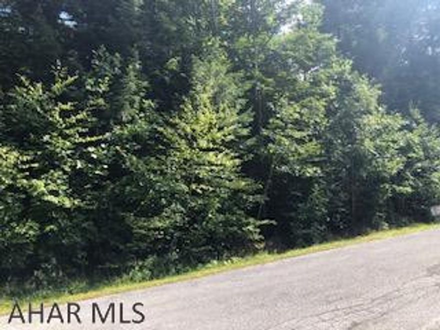 Highly desirable wooded acreage boarding state game lands located just minutes away from neighboring communities!. All the benefits of the great outdoors just minutes from Cresson and Gallitzin borough's! This property is perfect for a variety of outdoor activities. Call today to find out more information on this amazing opportunity that is priced to sell!