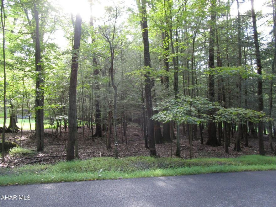 An acre of wooded land to build your home or cabin.  All utilities are in the road or to the lot line.  Because this property is near the entrance to Glendale Yearound you are closer to the park and Glendale Lake.
