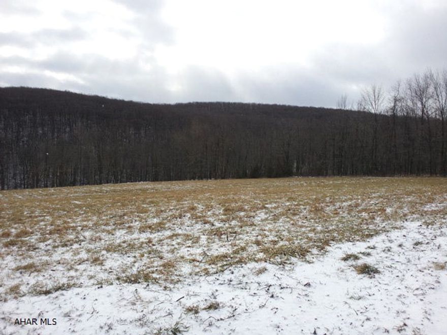 3.79 acre lot just on the outskirts of town.  Adjoins State Game Lands.