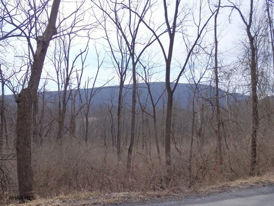 A gorgeous wooded setting on Chimney Rocks Road in Hollidaysburg, Blair Township.  10.84 acres that with some clearing can have an amazing view of the valley.  Build your dream home and never see neighbors!  Can be residential or commercial!