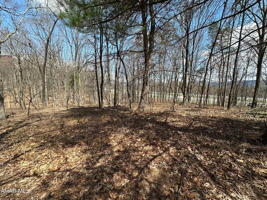 Discover the perfect blend of seclusion, natural beauty, and endless outdoor adventure with this exceptional 24+ acre parcel, directly adjoining 1700+ acres of gorgeous State Game Lands. Whether you're looking to build a private getaway, set up a hunting cabin, or simply enjoy nature's bounty, this property delivers unmatched access to some of the best wildlife and recreational opportunities in the region. Don't miss your opportunity to own this awesome piece of ground with road frontage in Fulton County!