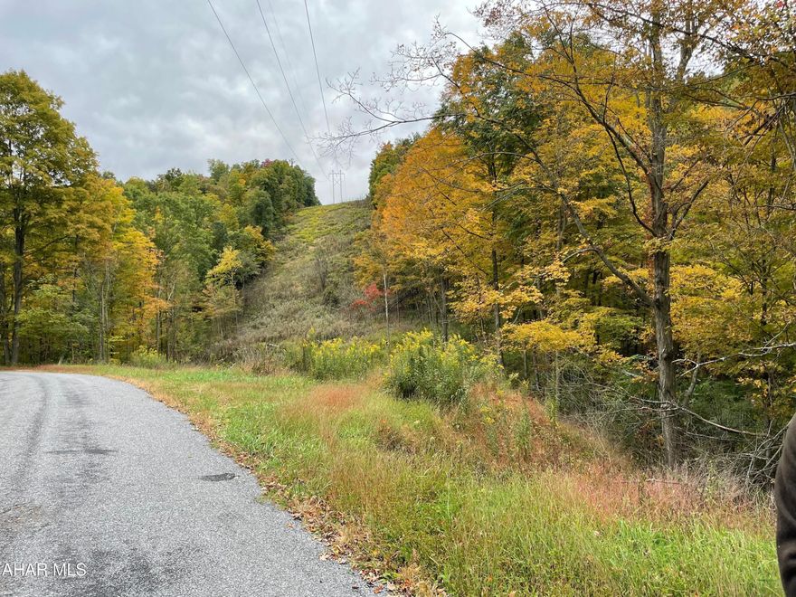 Vacant land, 10.23 acres with creek that runs the length of the property.  Possible spring development, many wildlife trails boarded by the Tyrone Sportsman Club.  The land is currently taxed under the Clean and Green and eligible for the Reparian Tree Planting Program.  Perc tested in the past, dead end road, few neighbors.