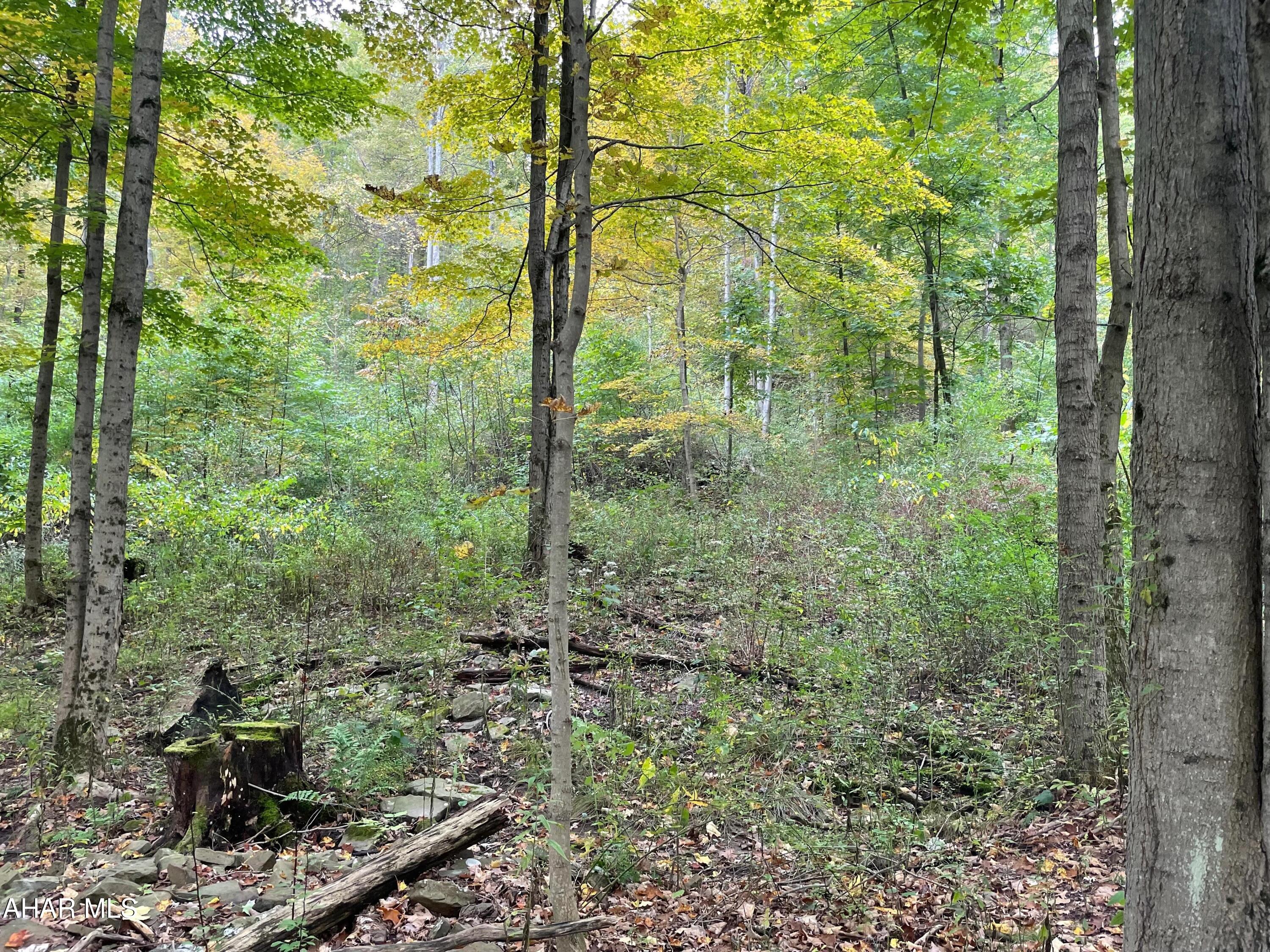 None - Commercial Sale