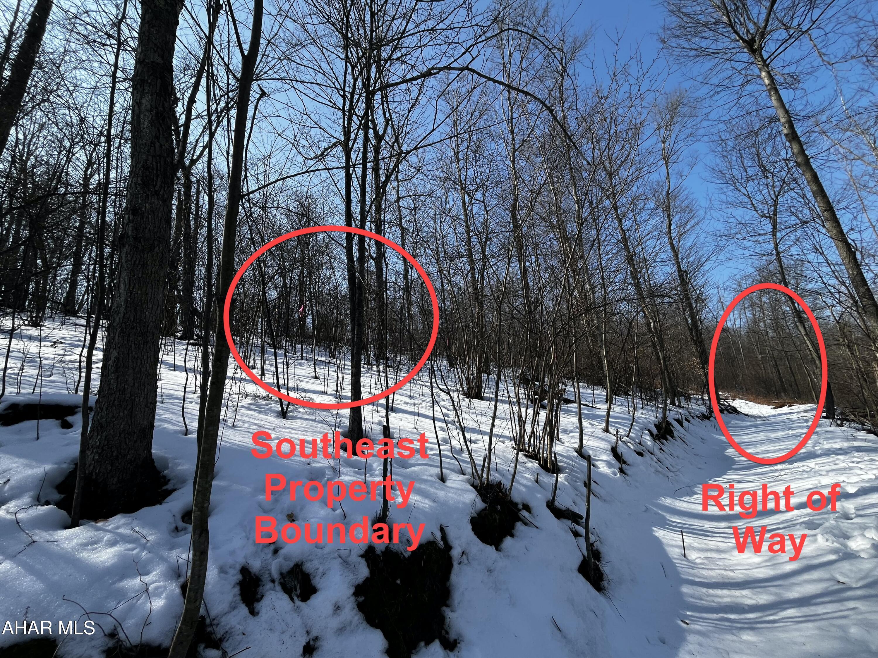 None - Commercial Sale