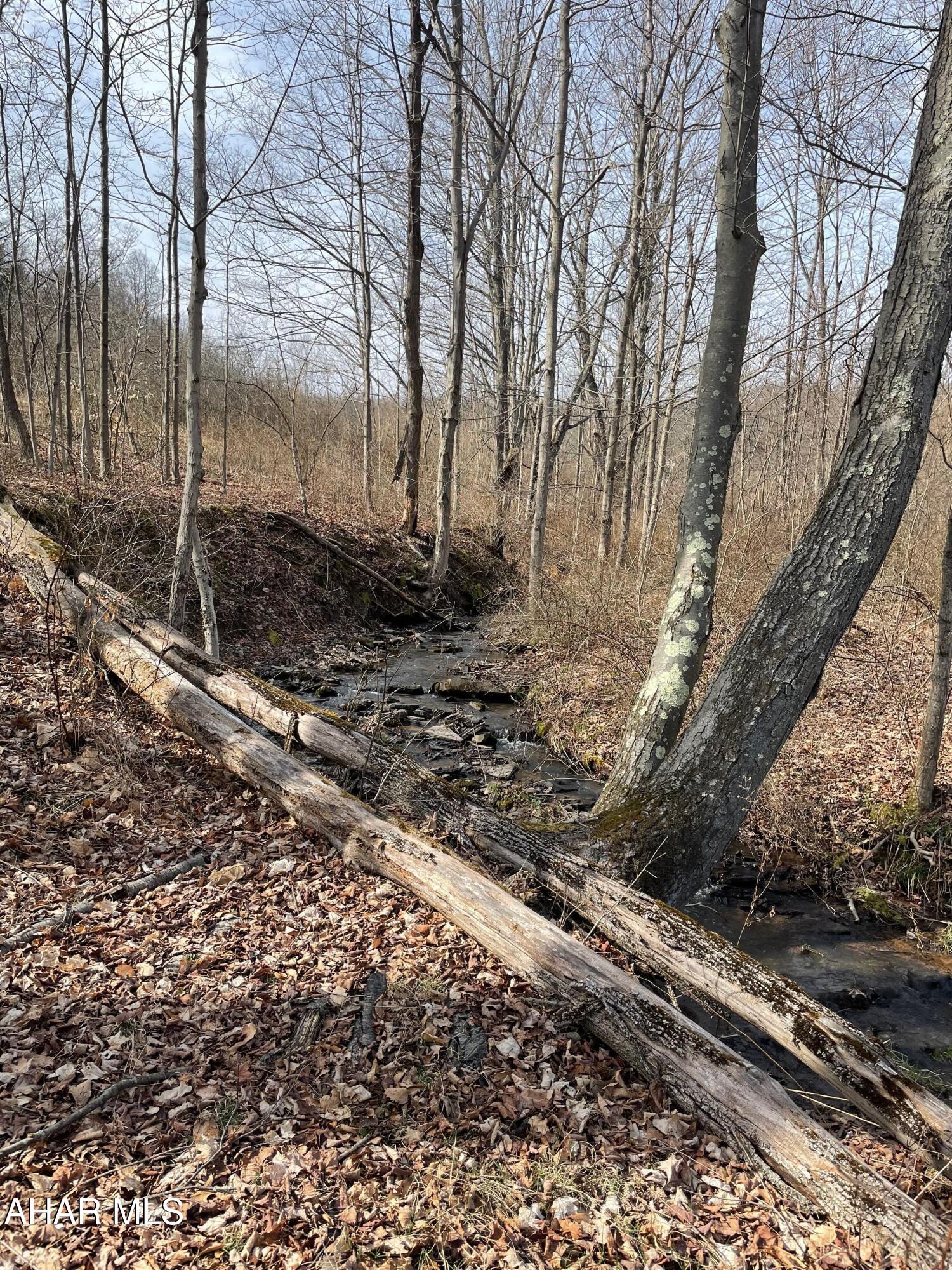 None - Commercial Sale