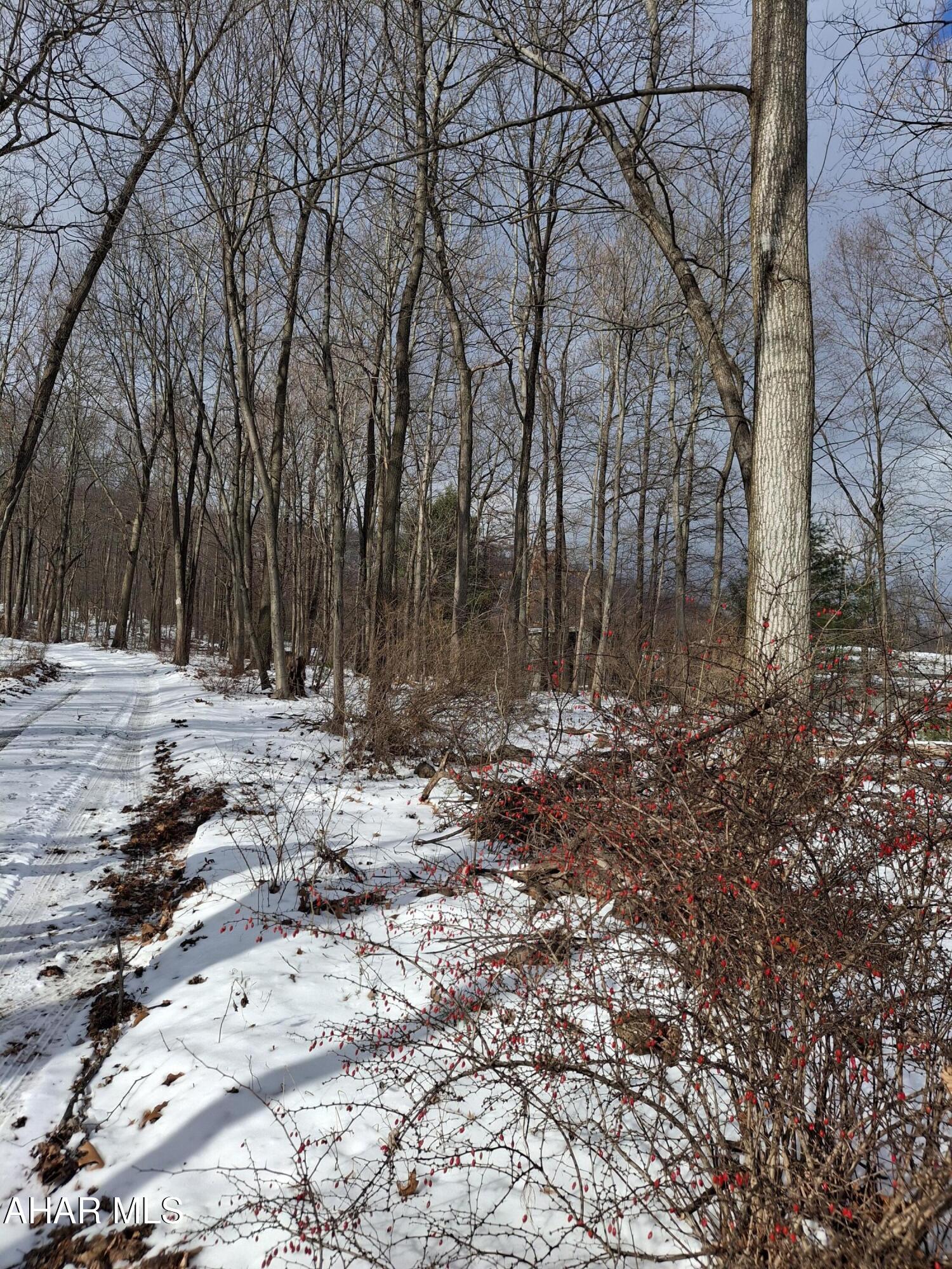 None - Commercial Sale