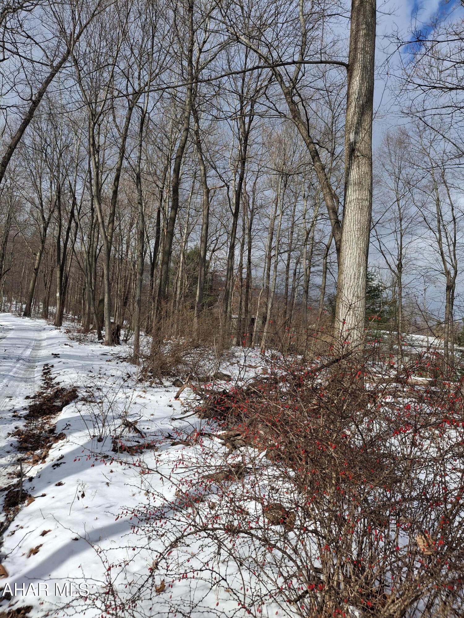 None - Commercial Sale