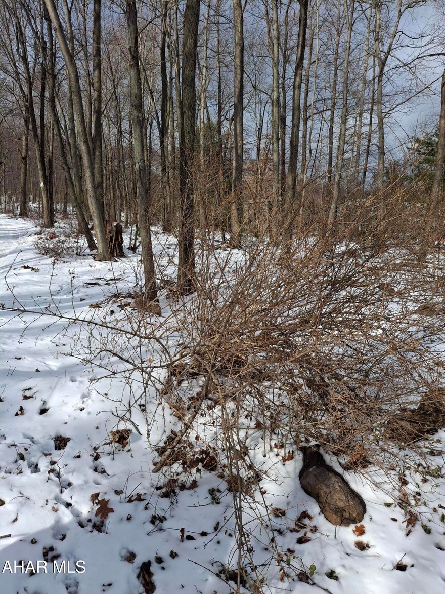 Do you want to build your Dream Home in the Sinking Valley area? Heres your oppuntunity over 3 acres of ground( copy of survey available) Priivate well and septic to be installed by new owner. Listed for $55,000
