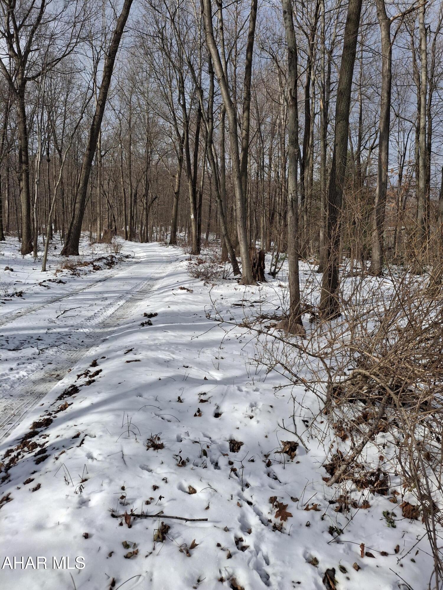 None - Commercial Sale