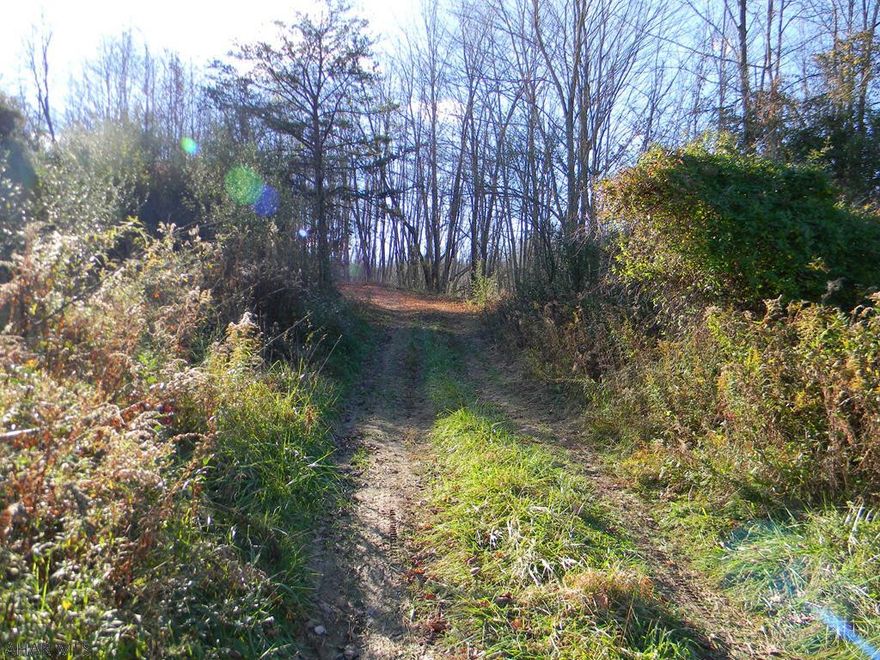 85.28 Acres of Land to build your dream home or a getaway cabin with your own trees. Also has road frontage along Rt 96 just south of  Buffalo Mills. Property has veiws. Great for hunting and hiking or any recreational activity.