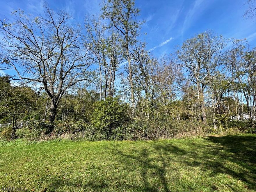 Perfect building lot for that new home!! Property contains 1.07 acres, has public road frontage, and is mostly level. Central location, convenient to town and supporting amenities, and easy access to major roads.