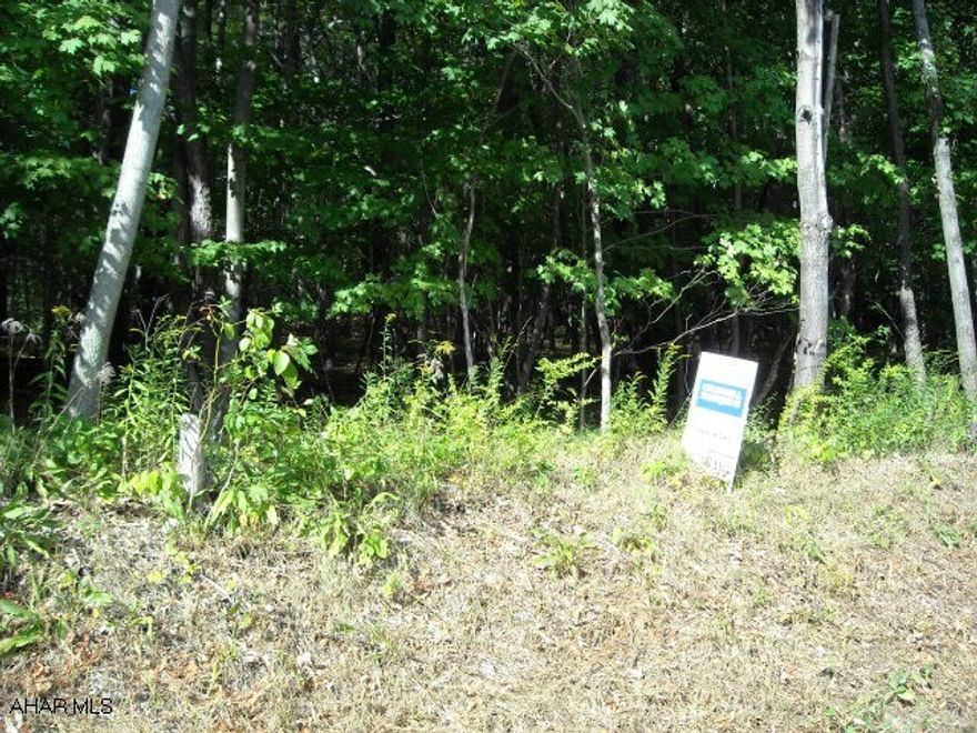 Also known as RD4 Box 86.  Restricted to single family home!  Rare - Virgin almost one acre (.974) of ground that is wooded with markers almost shaped like a square.  Buyer must drill a well and install a sewage holding tank, application / permits are available.  The liquid line to the property has been extended, installed and already paid by the Seller.  Quiet and private location by the Altoona Campus of Penn State.  Beautiful rural area with nice homes around it. Sign on the property...