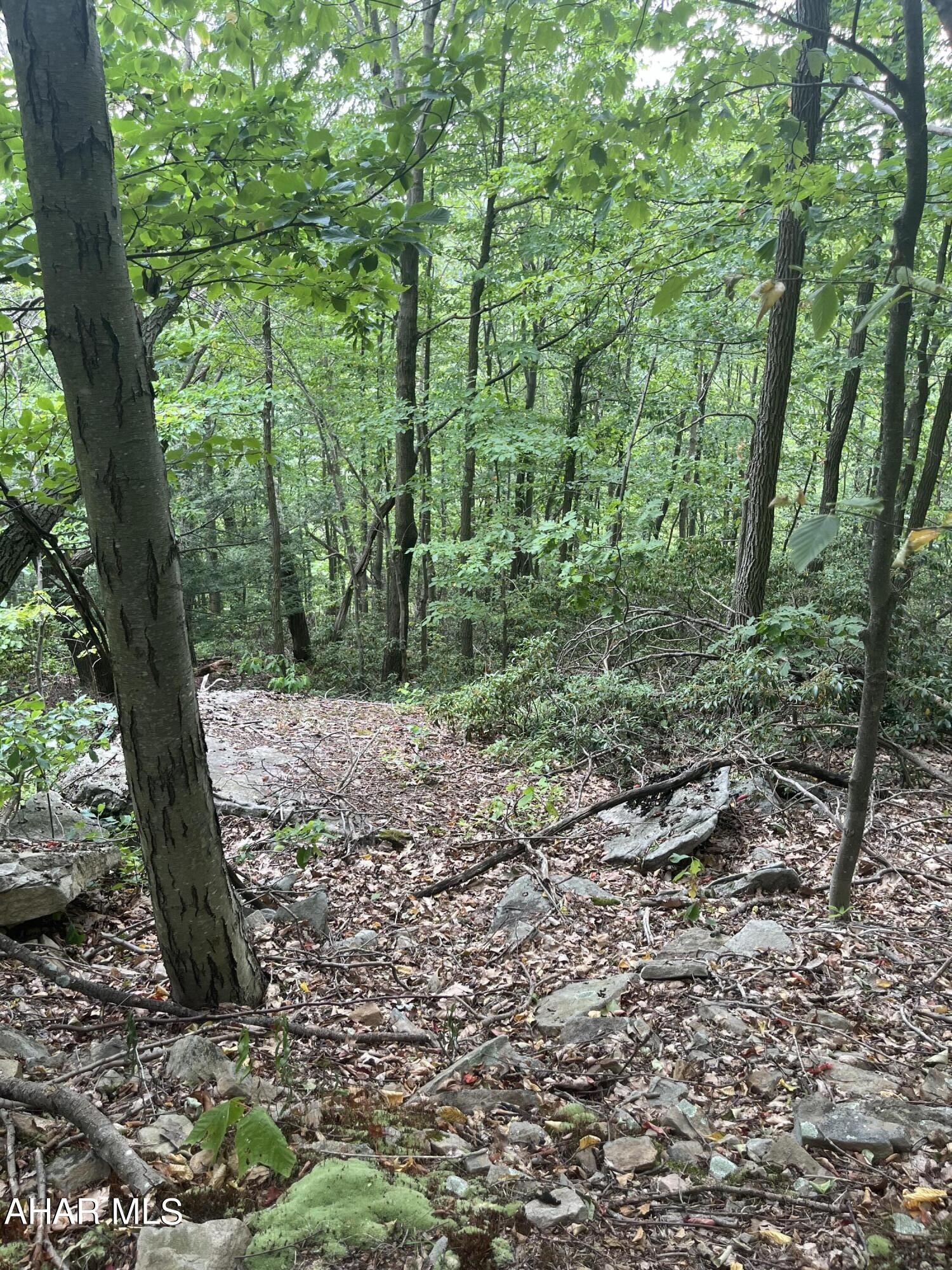 None - Commercial Sale