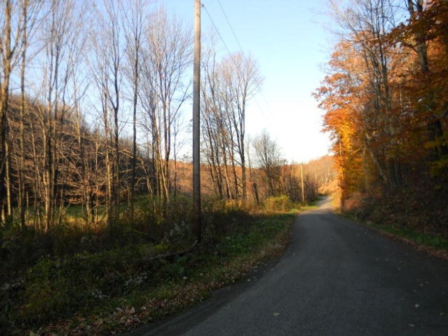 Hunters paradise on 84+ acres containing both woods and open spaces along both sides of a secondary road. Approx. 4600' frontage featuring a stream, spring, great mountain views and recent survey. Enrolled in Clean and Green.