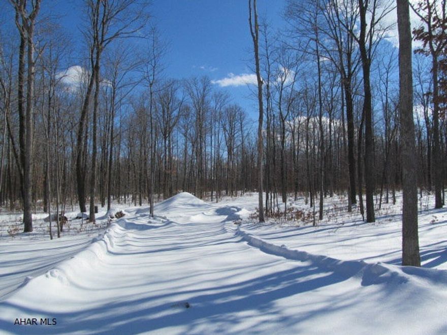 Ready for your dream home! Level, wooded 5 acre residential bldg. lot in Sandy Ridge with 262 ft. of frontage on Tyrone Pike.  Perc tested and cleared for your dream home.  State game lands directly behind property.  30 mins to State College and Altoona.