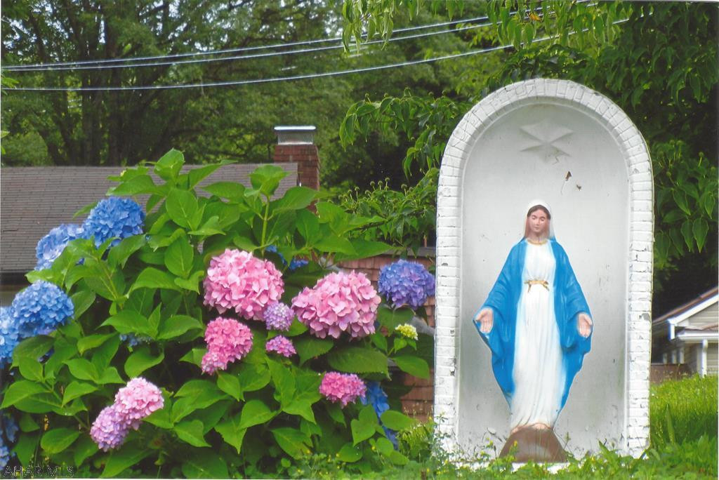 Fairview - Residential