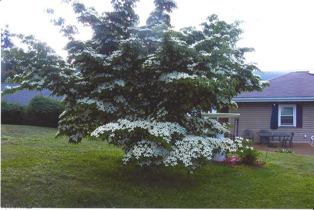 Fairview - Residential