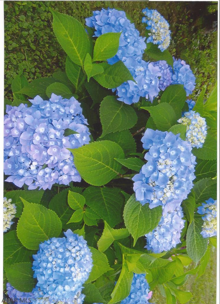 Fairview - Residential