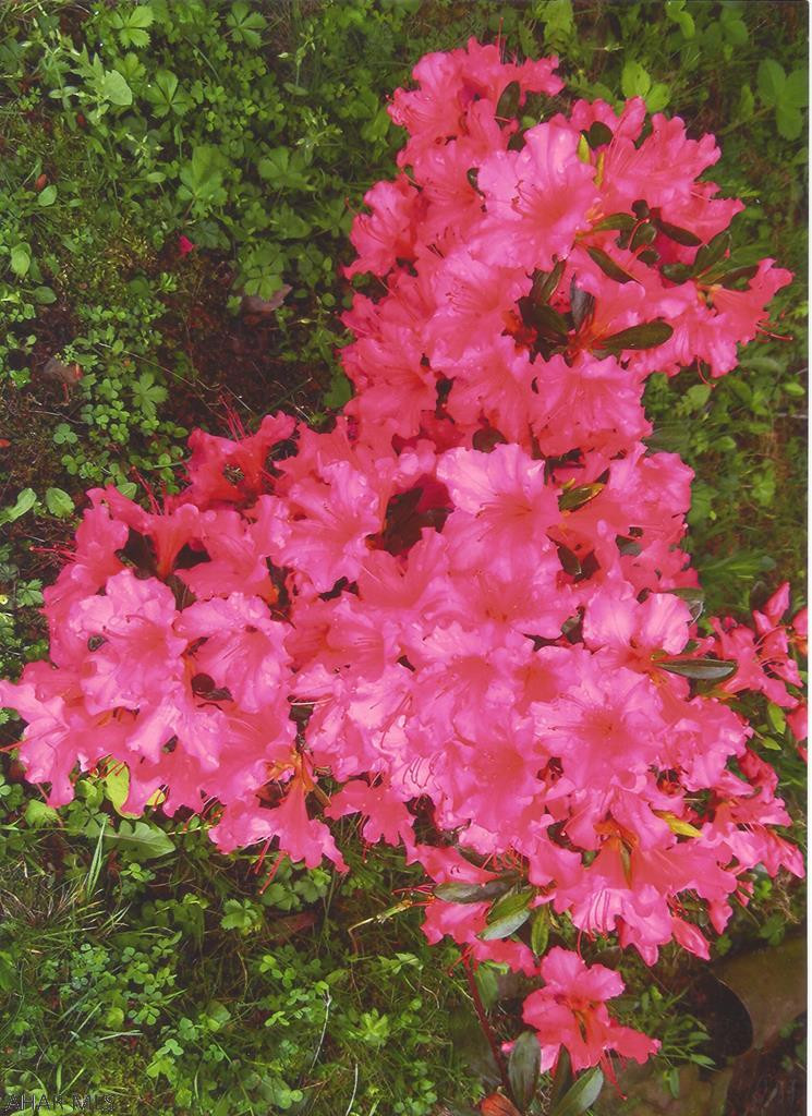 Fairview - Residential