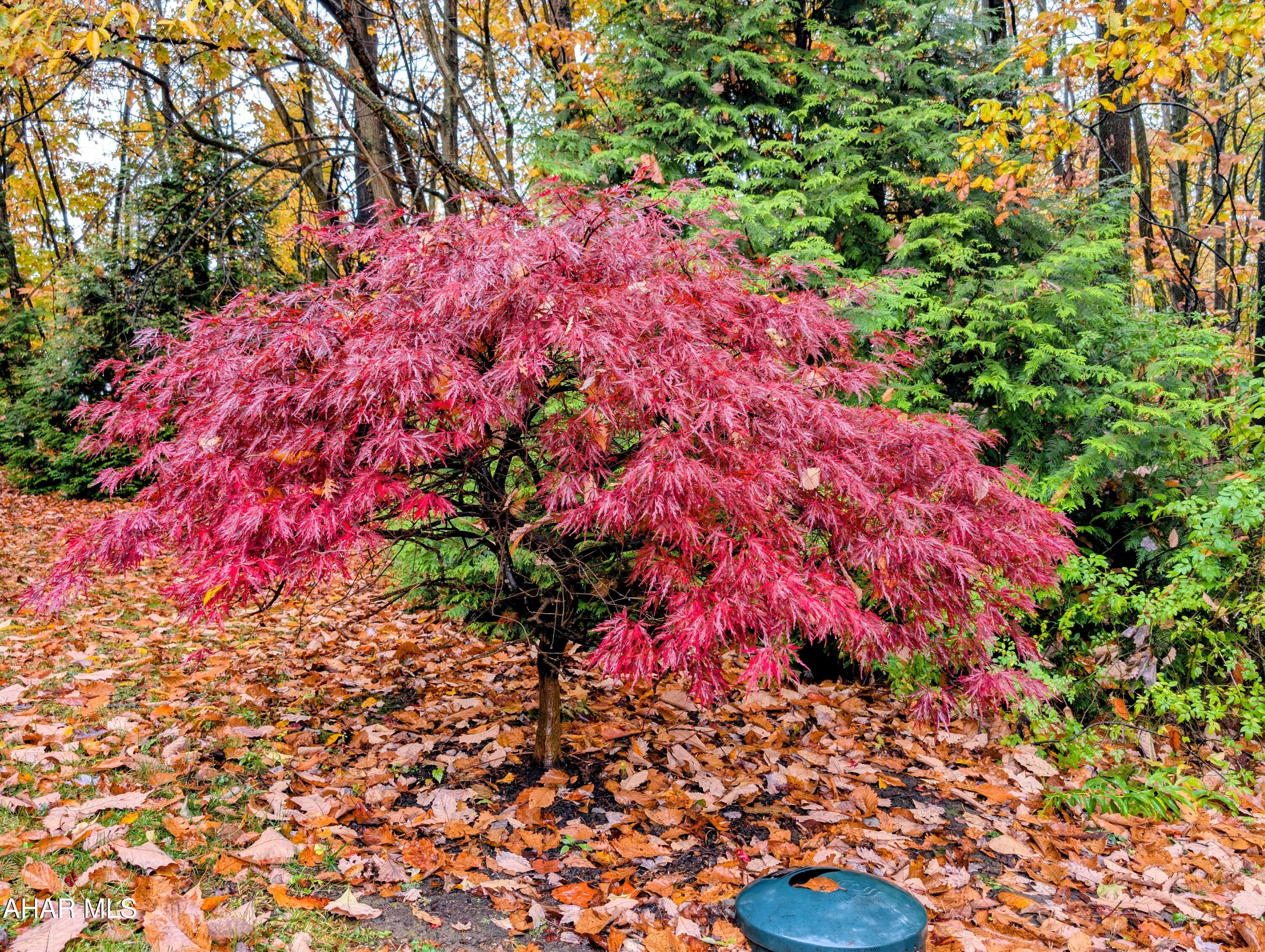 Ridgewood Heights - Residential