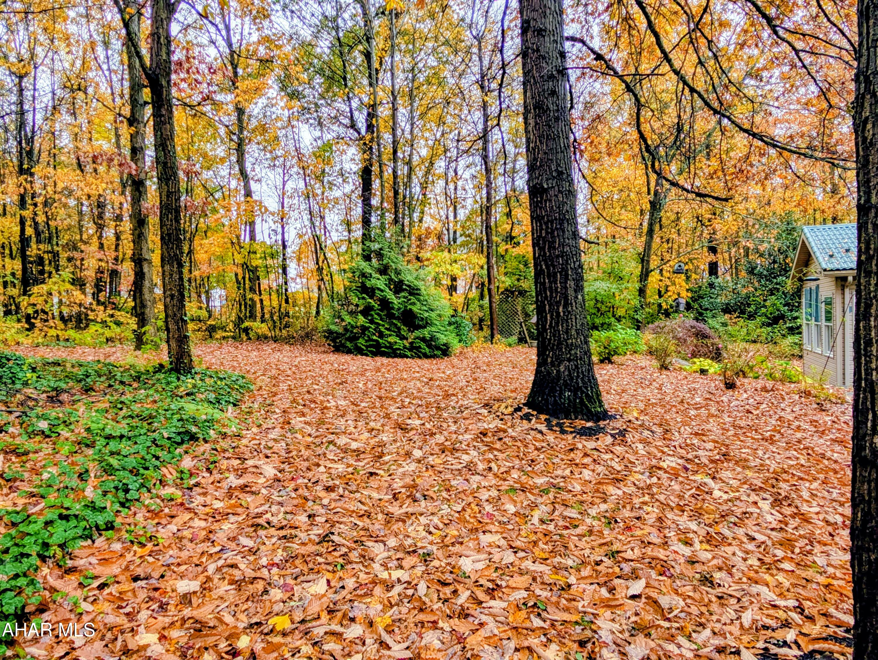 Ridgewood Heights - Residential