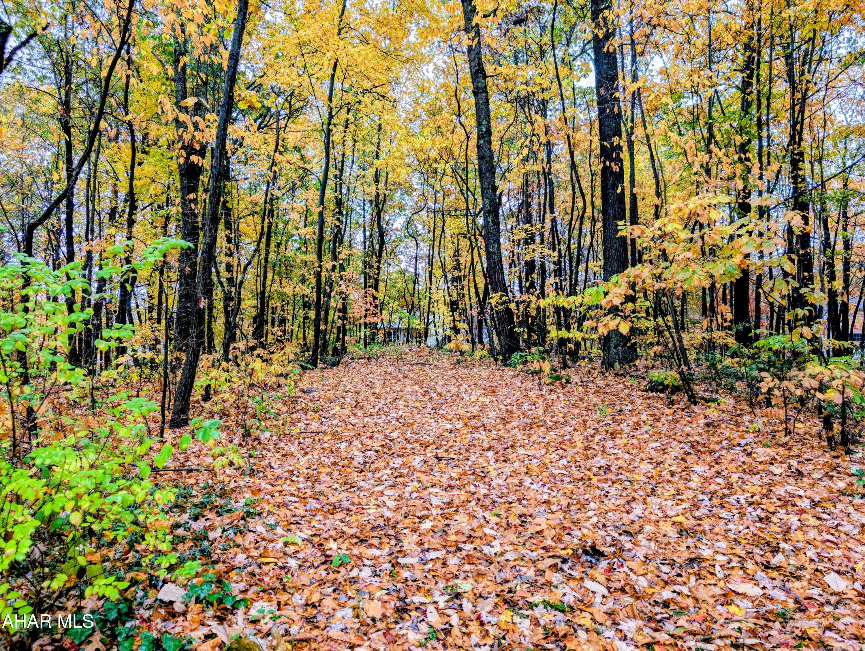 Ridgewood Heights - Residential