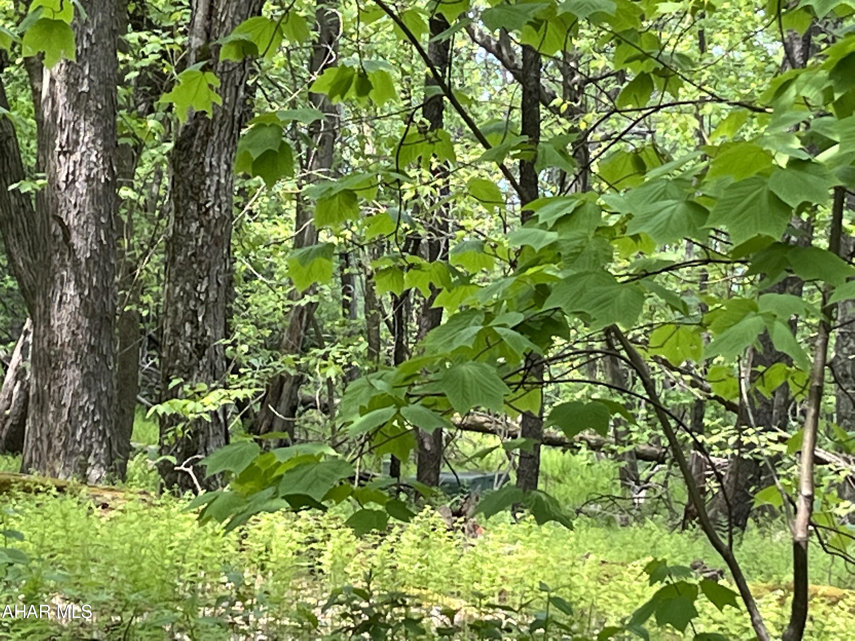 Blue Knob - Commercial Sale