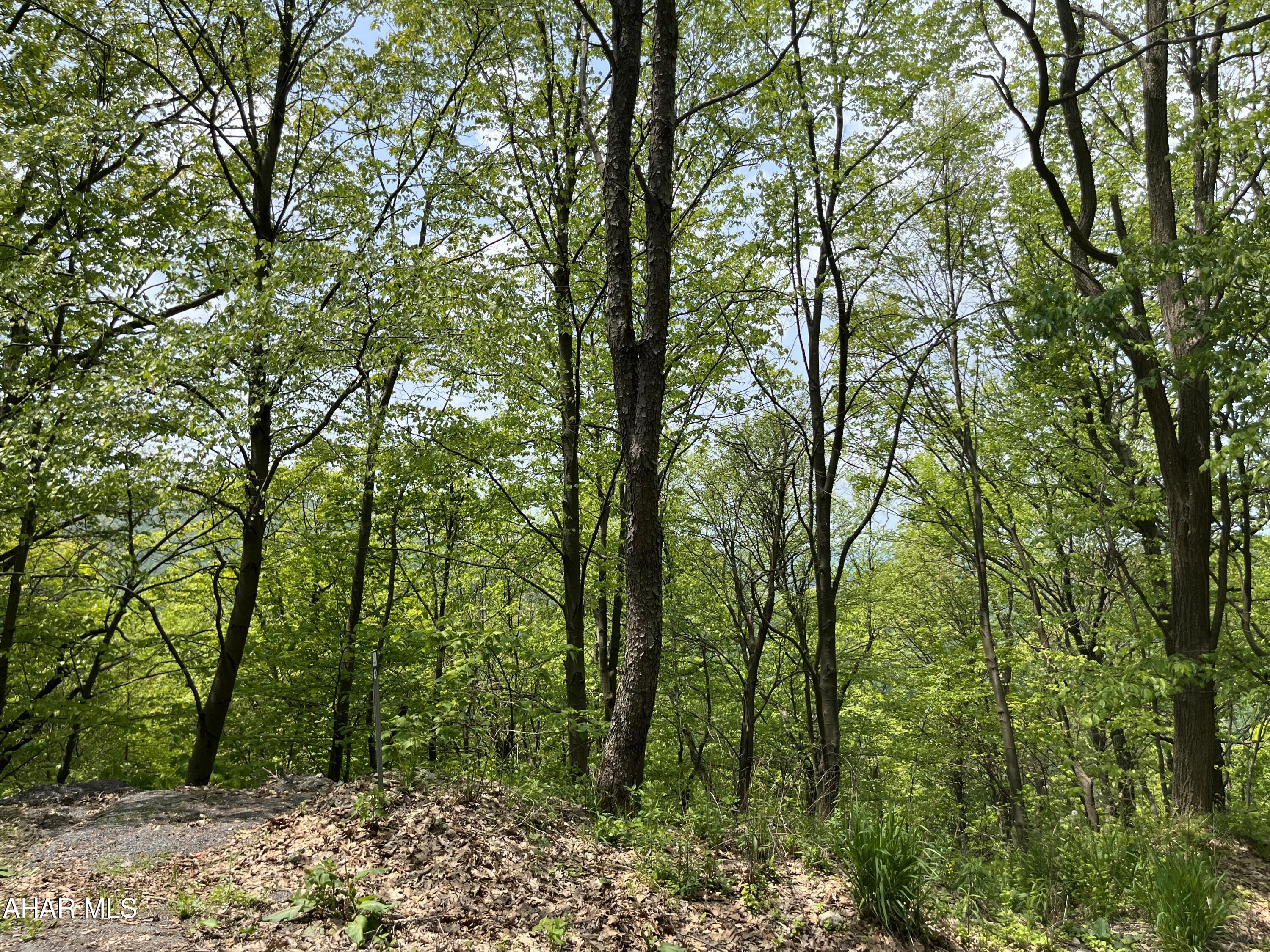 Blue Knob - Commercial Sale