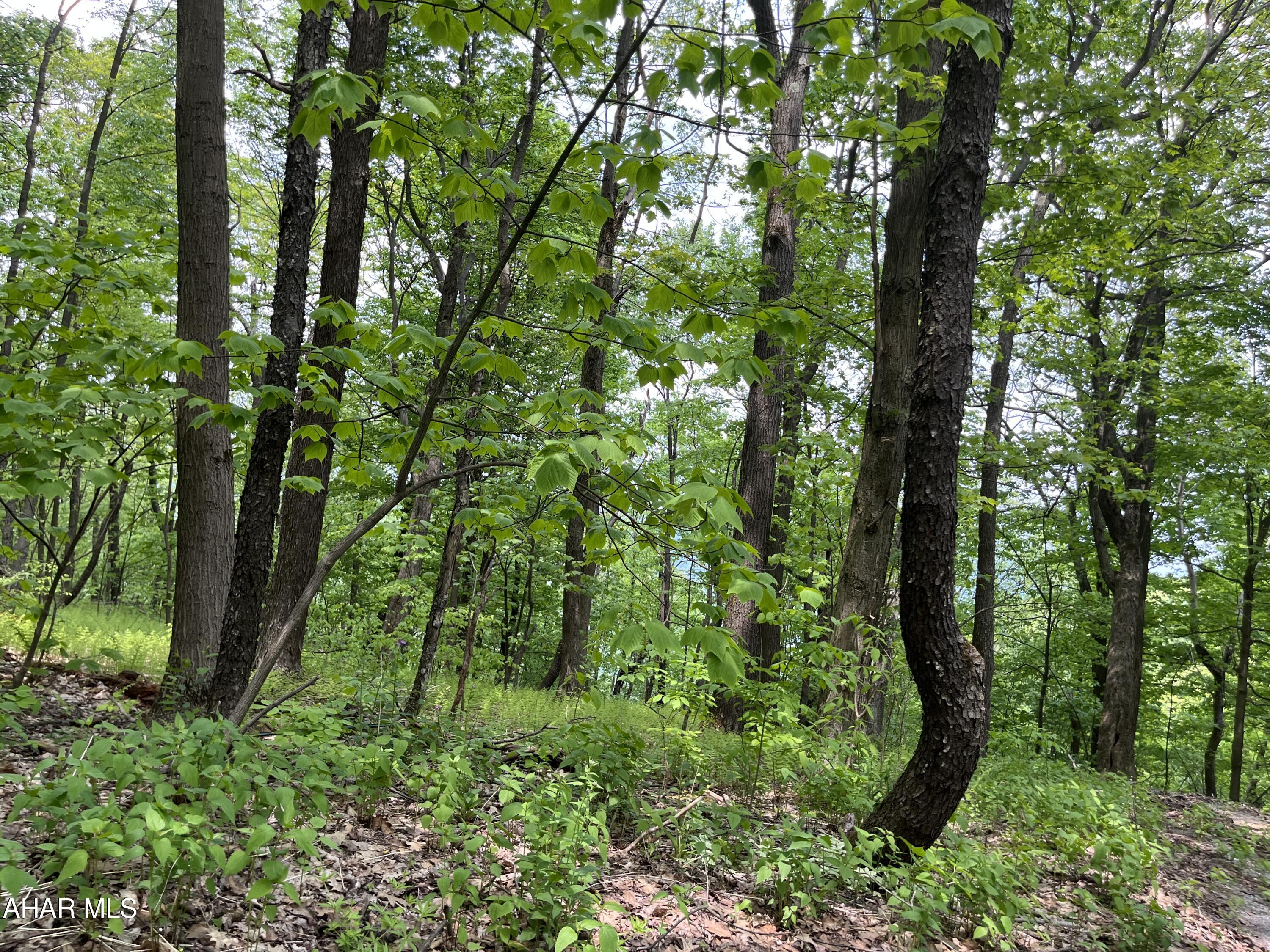 Blue Knob - Commercial Sale