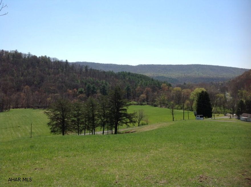 Great weekend/hunting retreat in the country with easy access to I-68 and I-70. This property is surrounded near State Game Lands, with fishing and hunting. The property has a 1972 Skyline singlewide trailer and a shed for storage in good condition. There is a well, electric and septic on this property and 300ft of Sideling Hill Creek. Beautiful views of the valley and the mountains!!