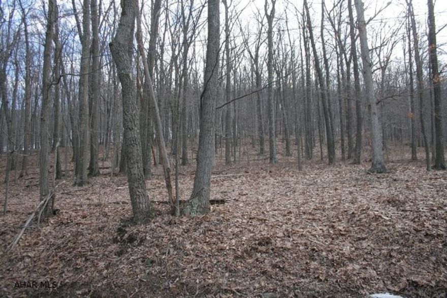 Great location for a vacation cabin or your dream home. Bordering 10,000 acres of State Game Land and close to the Maryland State Line, this location offers privacy while still having easy access to shopping and entertainment.