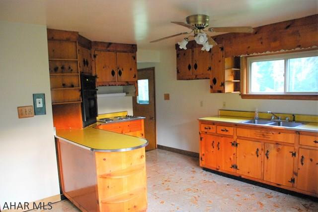 Carson Valley - Residential