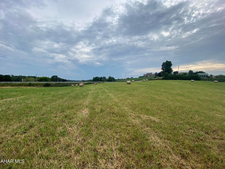 Perc Test was completed and passed in 1997. Permit for installation of onlot sewage disposal system is valid; was renewed 8/4/24. Survey was completed in 1997. Property boundaries are roughly the tree lines.