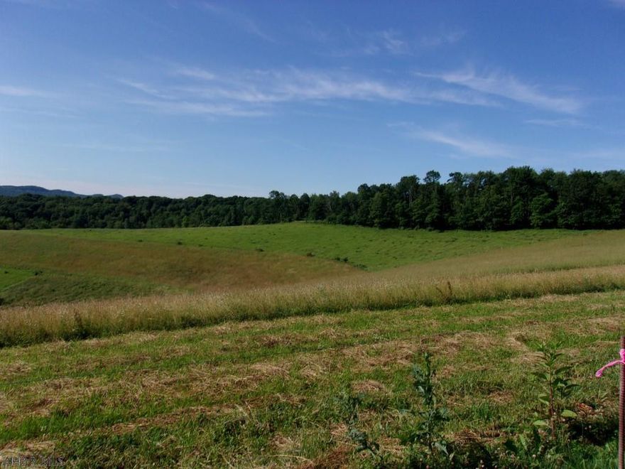 12.64 acres in the Spring Cove School District!  Wooded privacy but close to shopping and schools.  Well and septic located on property - currently there are 2 trailers on property (one occupied) but they will be removed prior to sale and are NOT included in sale price.  Property is currently enrolled in the Clean & Green Act with an assessed value of $18,900 and property taxes approximately $276.