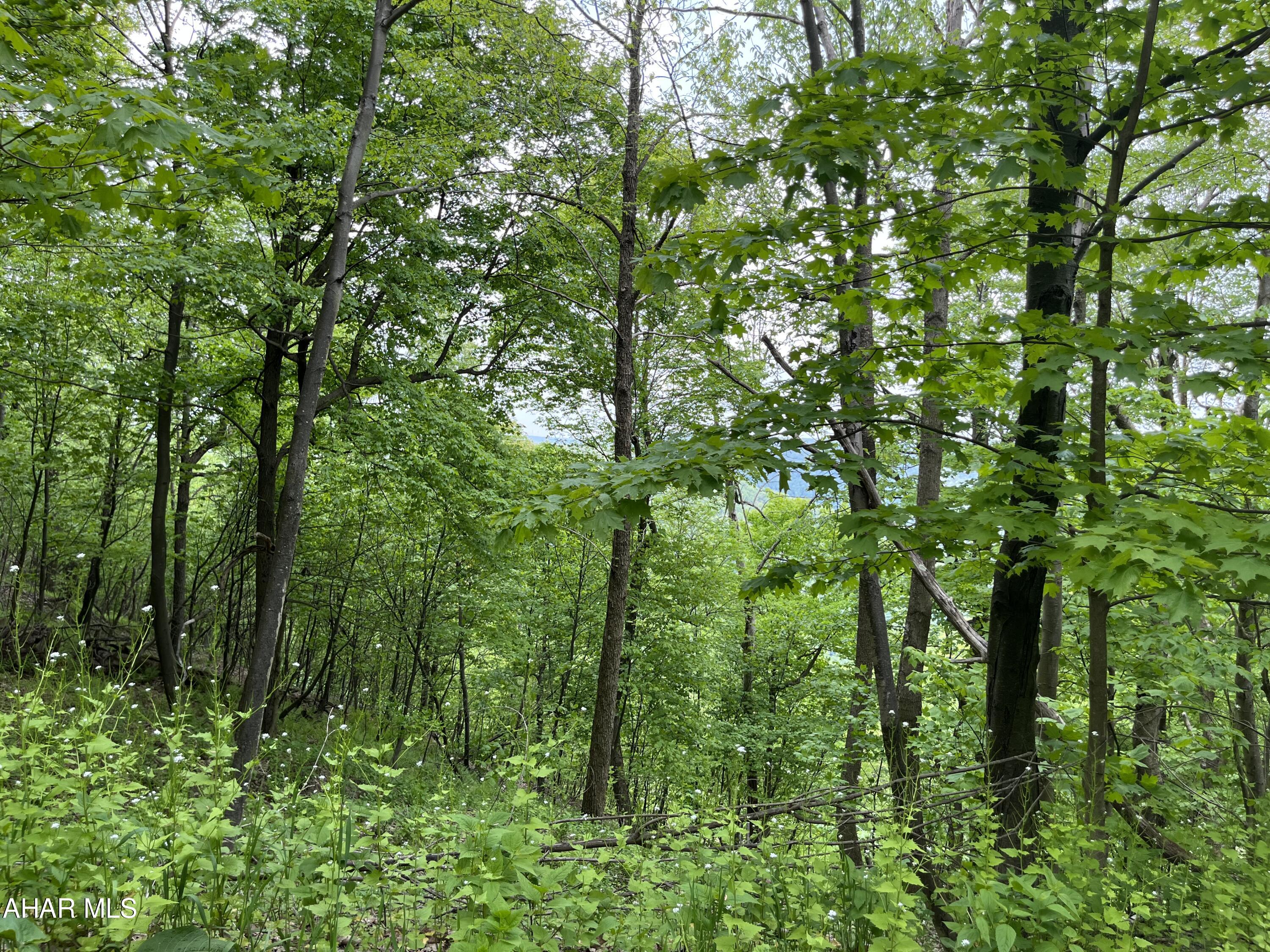 Blue Knob - Commercial Sale