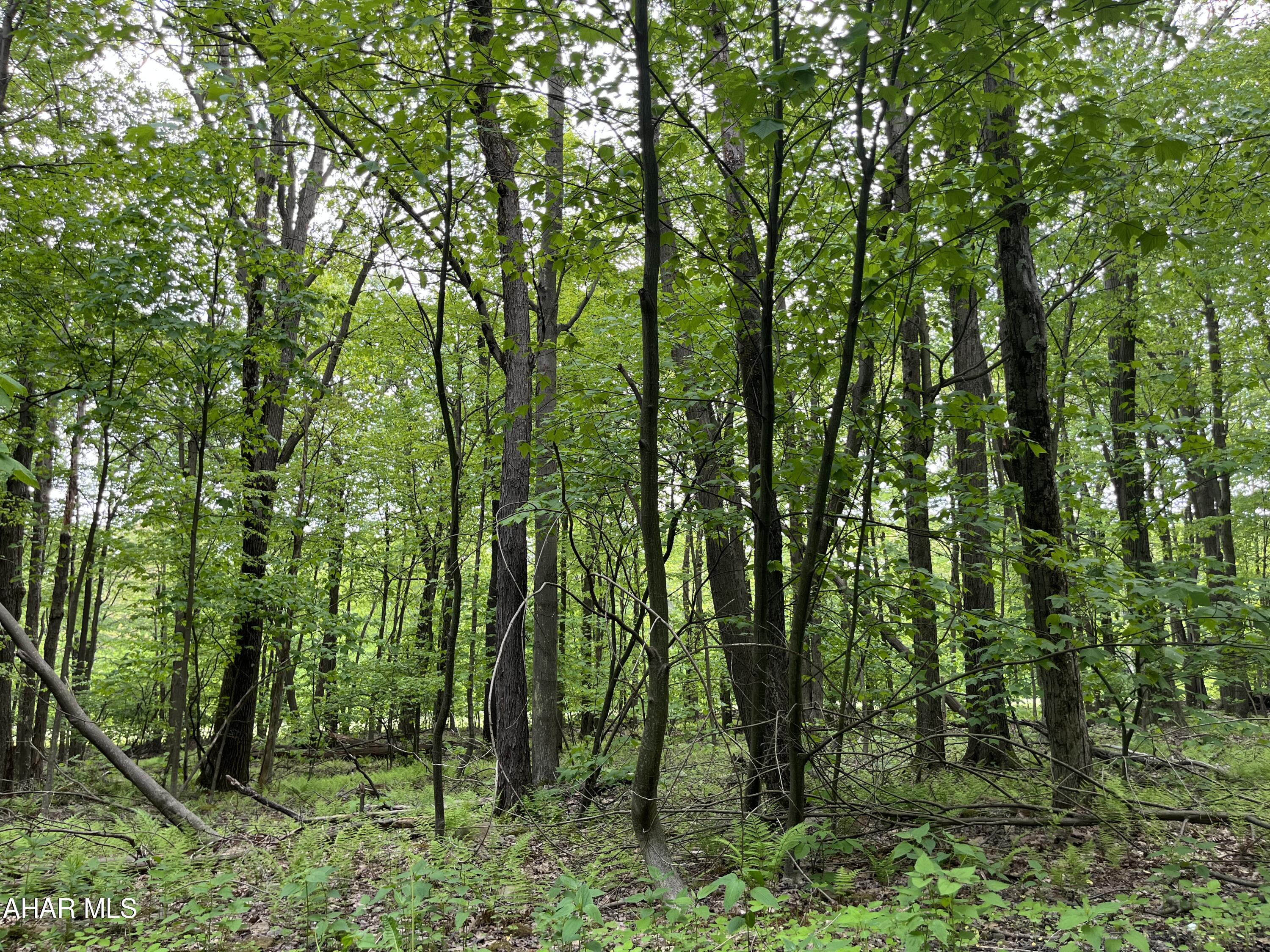 Blue Knob - Commercial Sale