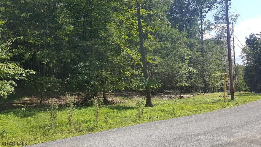 Two wooded lots inside Glendale Yearound. Larger than average sites and together almost 2 acres. Perfect site for a home or cabin. Glendale Yearound is a gated community located minutes from Prince Gallitzin State Park and Glendale Lake.