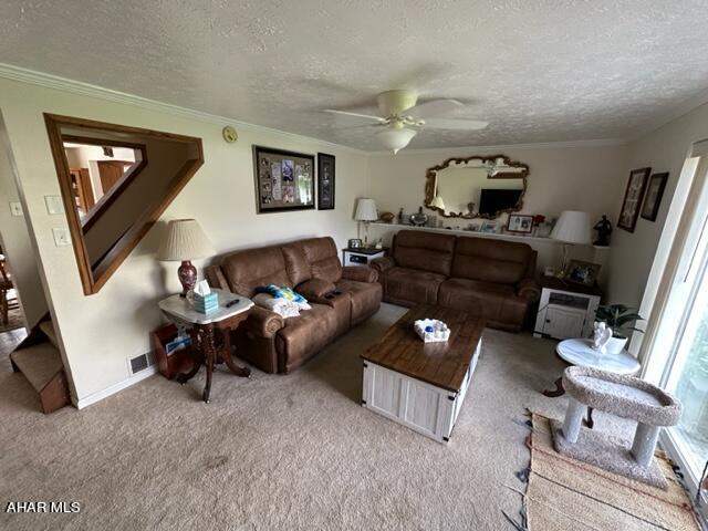 Maple Hollow - Residential