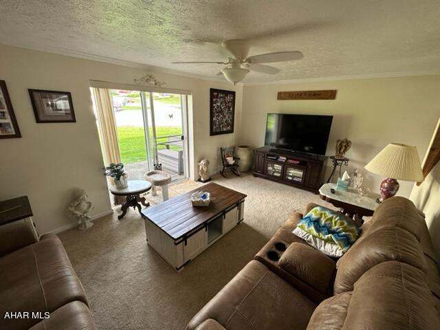 Maple Hollow - Residential