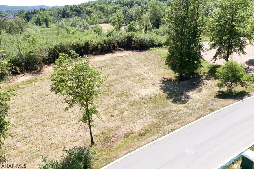 This is an over half acre lot in the highly desirable development of Fox Hollow. This lot is flat and wooded towards the back of the property which adds privacy to the lot. A boundary survey has already been completed with visible corner markers. The $1,400 water reimbursement fee for the lot has already been paid as well.