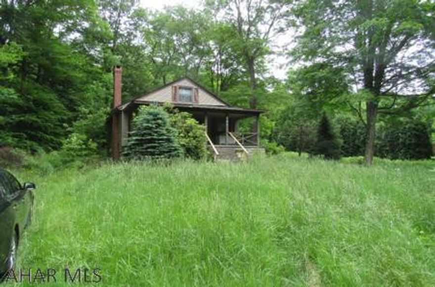 Home needs a few repairs and updating. Vacant for over 3 years. Living room fireplace. Level lot that needs cleaned up. Home needs a furnace.