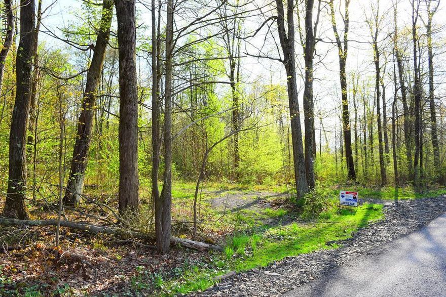 3.37+/- wooded acre lot ready for your dream home. This quiet neighborhood features a perfect, quaint country setting with plenty of distance between each lot. Close proximity to necessities, Interstate 99, 20 min. to Bedford, 45 minutes to Altoona, 25 minutes to Blue Knob Ski Resort, 40 minutes to Johnstown.