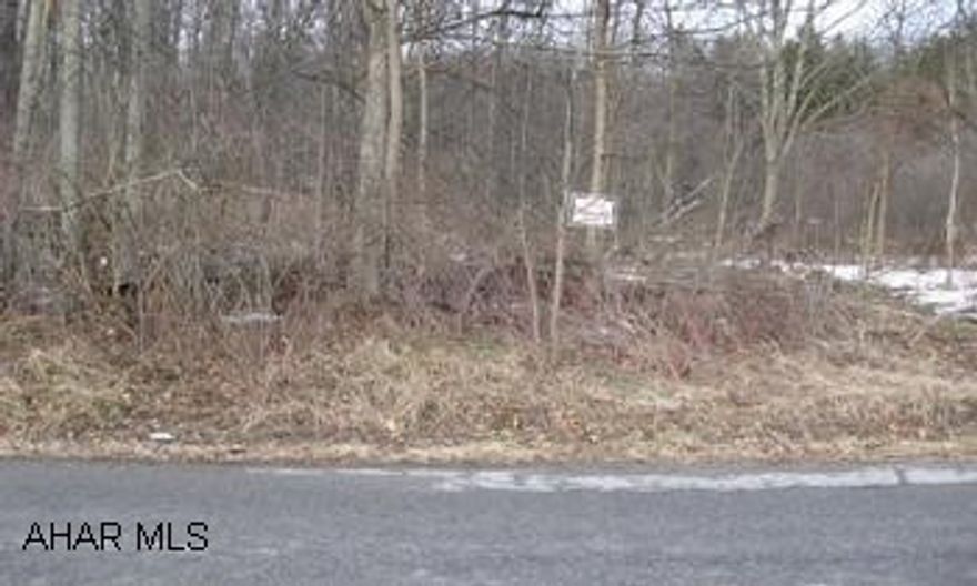 Very private home site. Wooded, level to rolling. Perk approved. Access is 50' right of way off Rossman Road.