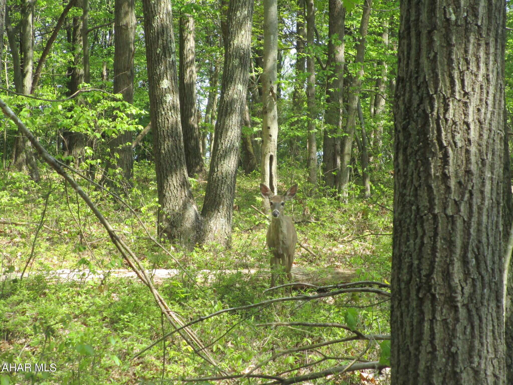 Folmont - Residential