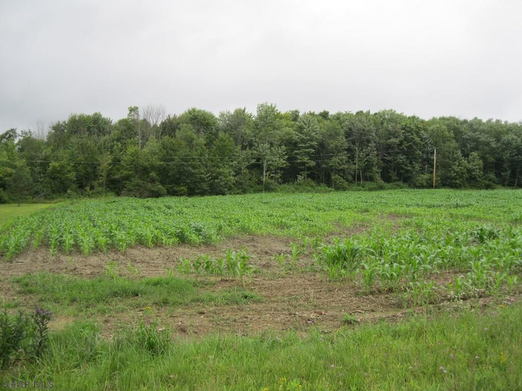 Old 6th Avenue - Land