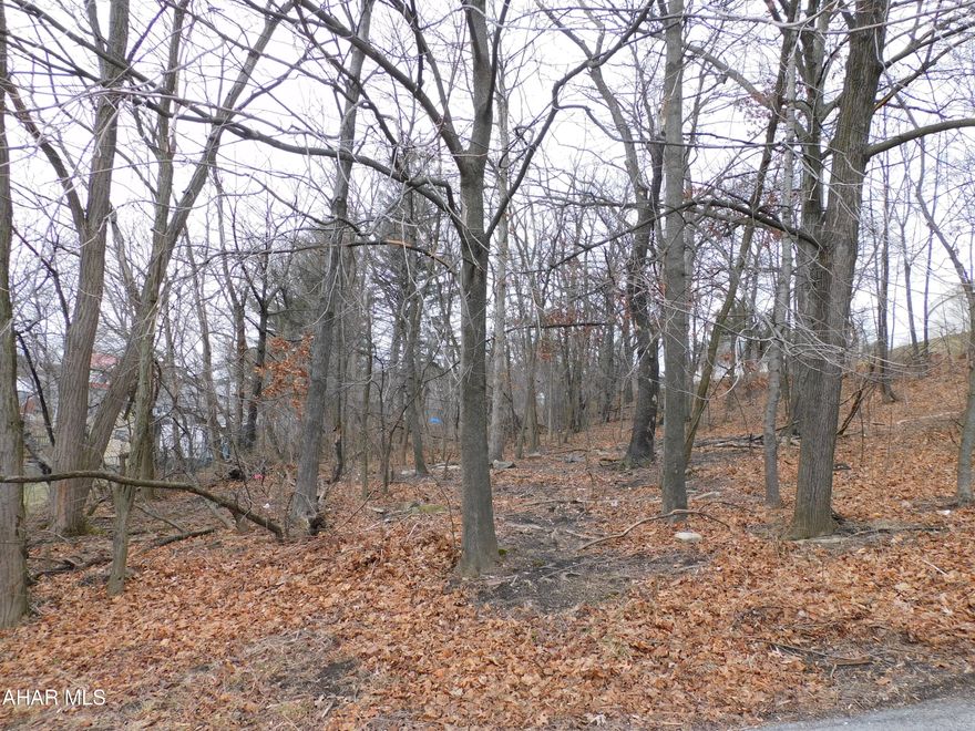 Vacant lot for sale in Altoona! Lot is approximately .28 acres. Lot is 100 x 120. Lot is wooded.