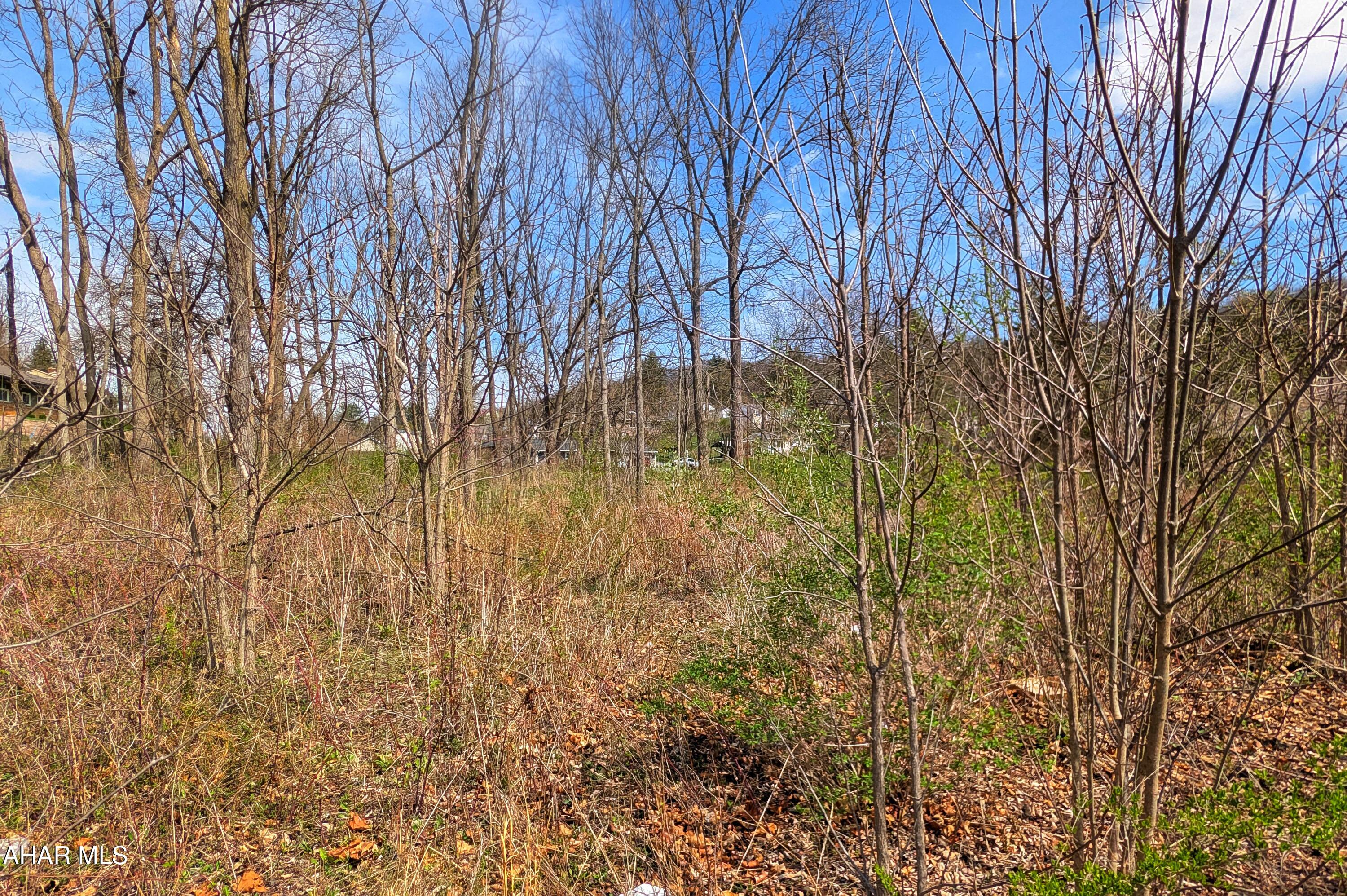 Orchard Heights - Commercial Sale