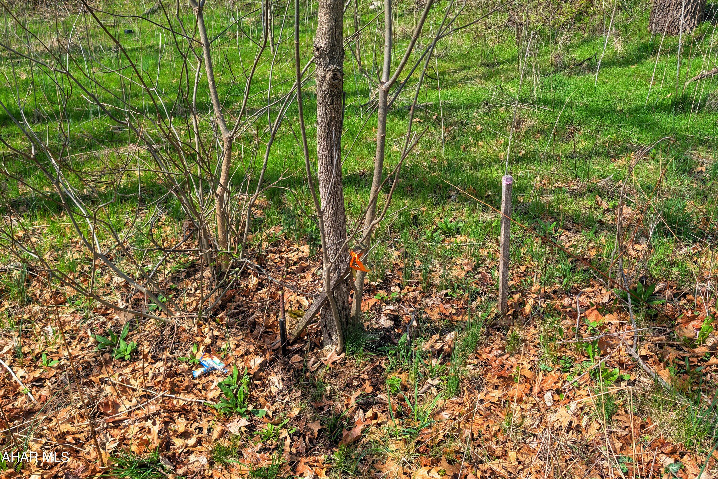 Orchard Heights - Commercial Sale