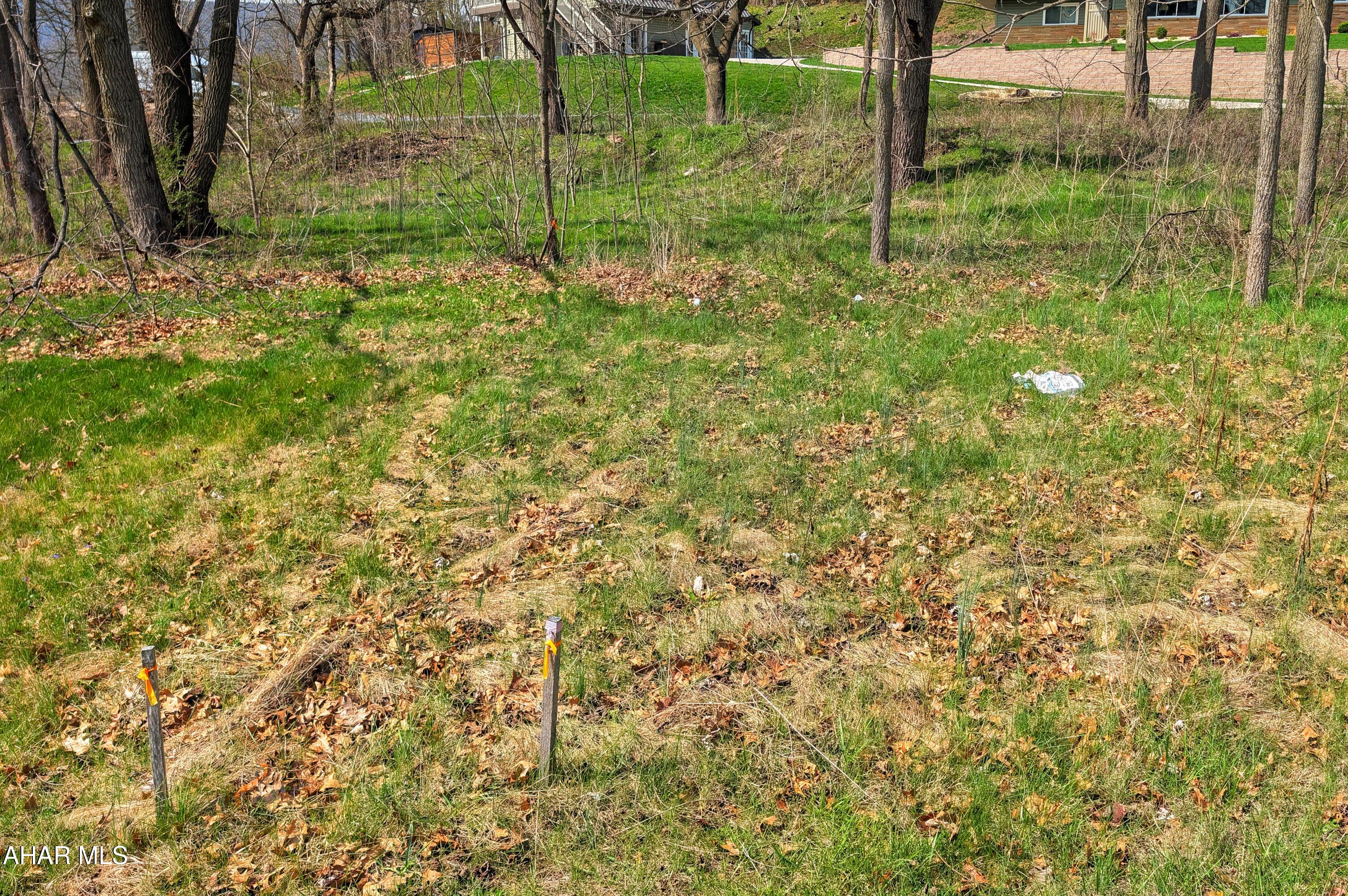 Orchard Heights - Commercial Sale