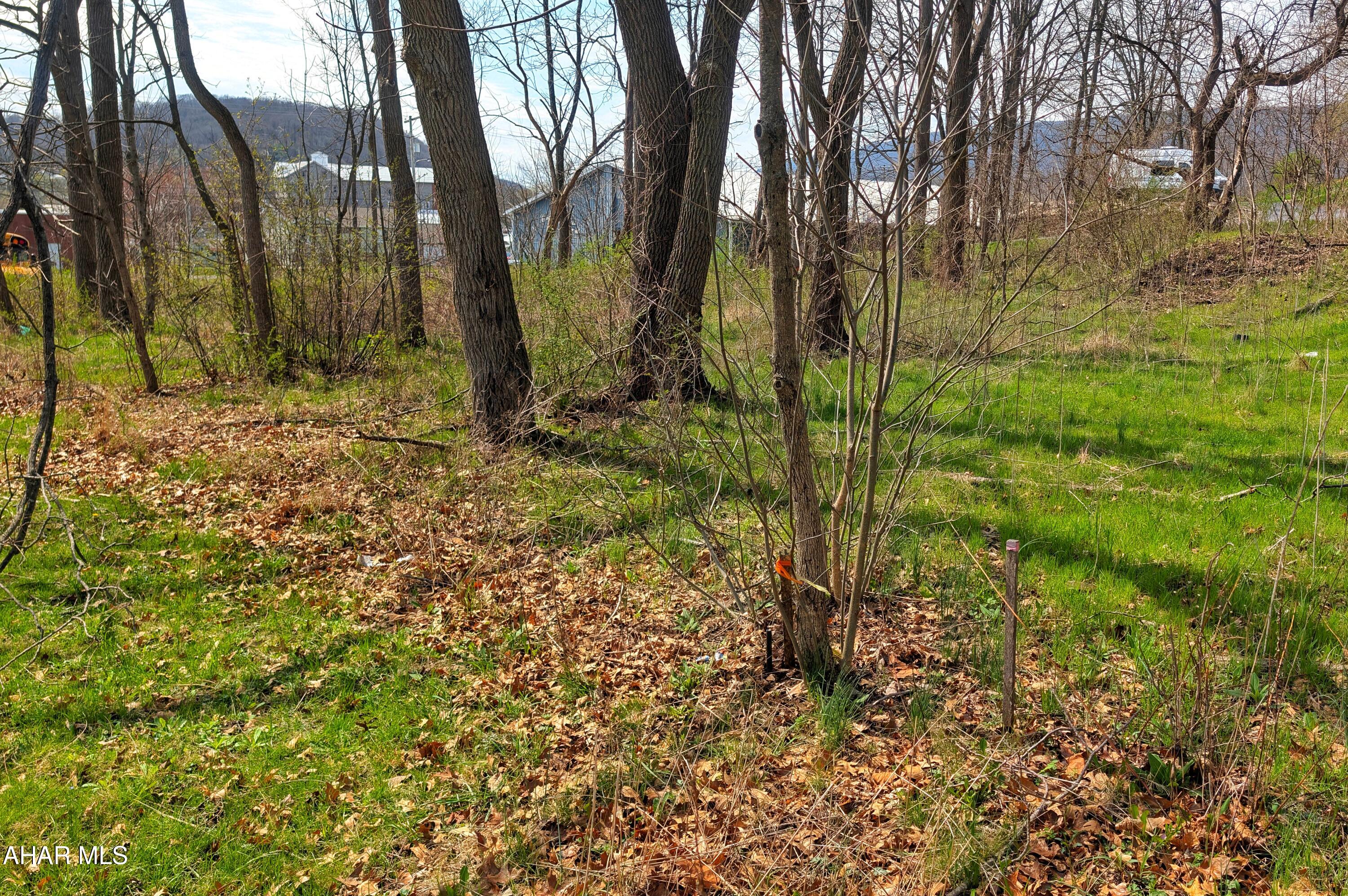 Orchard Heights - Commercial Sale